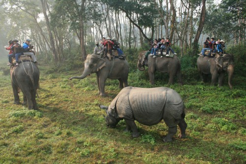 chitwan-national-park.jpg