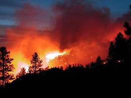 Чрезвычайное положение пожарной опасности объявлено на Закарпатье
